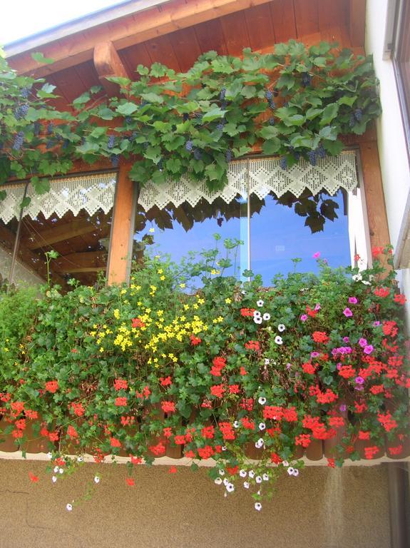 Ferienbauernhof Liebschick Villa Egg Ngoại thất bức ảnh